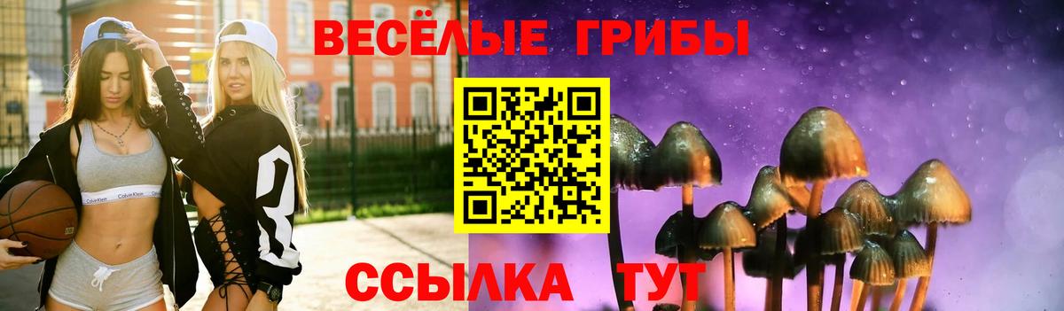 Галлюциногенные грибы прущие грибы  Вход с VPN  Красноармейск 